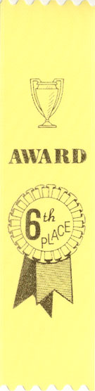 YELLOW 6TH PLACE RIBBON