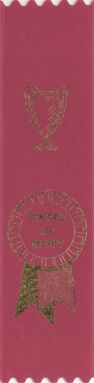 MAROON AWARD OF MERIT RIBBON