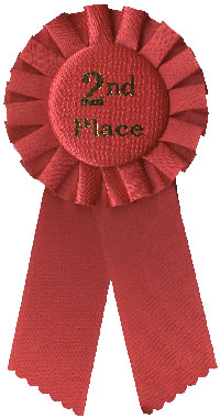 2ND PLACE